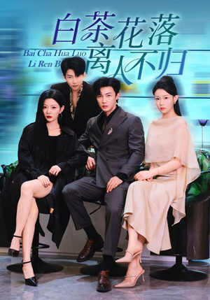 白茶花落离人（51集）一起追生活短剧
