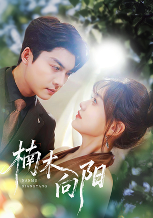 楠木向阳（70集）在线看免费版