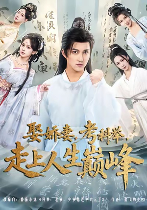 娶娇妻，考科举，走上人生巅峰（80集）热门短剧分享