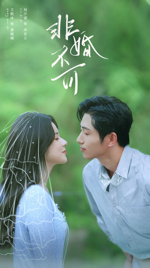 非婚不可(65集) 非婚不可(65集)精彩短剧分享。