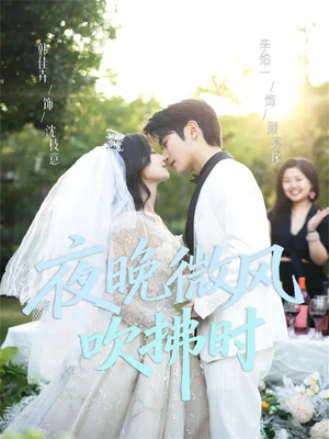 夜晚微风吹拂时（61集）一口气追完短剧