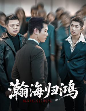 瀚海归鸿（74集）高分推荐免费看