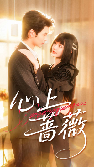 心上蔷薇(100集) 心上蔷薇(100集)演员表