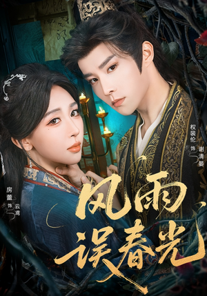 风雨误春光（58集）在线看完整版