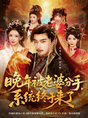 晚年被老婆分手，系统终于来了（80集）好看的短剧推荐