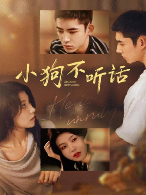 小狗不听话(70集) 小狗不听话(70集)分享热门短剧