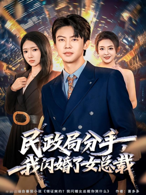 民政局分手,我闪婚了女总裁(72集) 民政局分手,我闪婚了女总裁(72集)最火的短剧