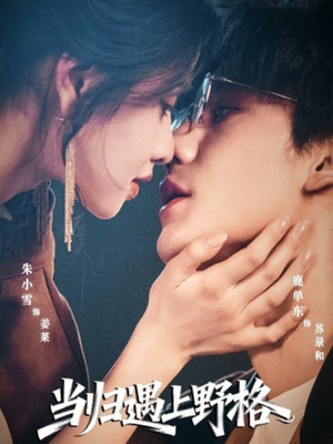 当归遇上野格（66集）直接看到大结局