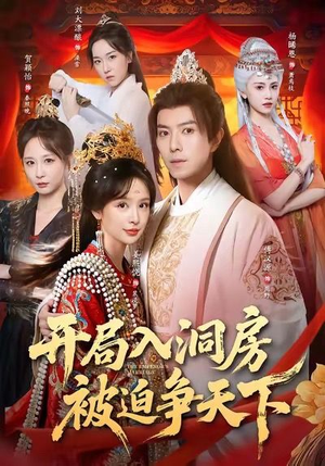 开局入洞房，被迫争天下（88集）全集免费