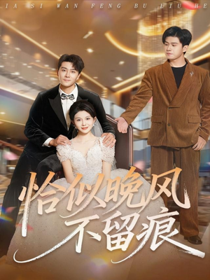 恰似晚风不留痕（61集）推荐你们也去看