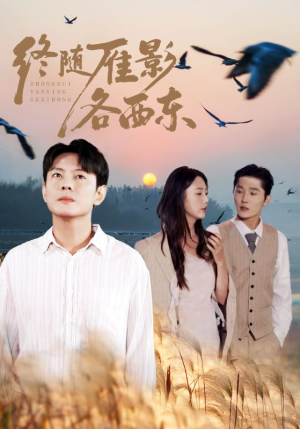 终随雁影各西东（86集）好看的短剧分享