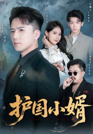 护国小婿（60集）女频短剧推荐
