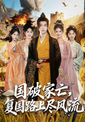 国破家亡,复国路上尽风流(83集) 国破家亡,复国路上尽风流(83集)UC网盘在线看