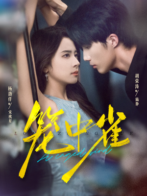 笼中雀（65集）剧情简介