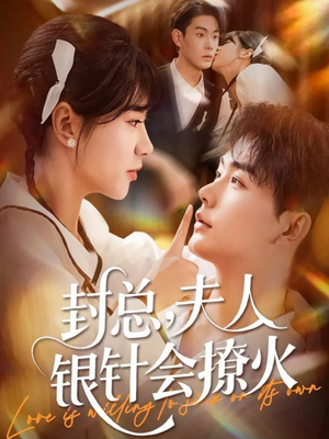 封总，夫人银针会撩火（69集）每日短剧追不停