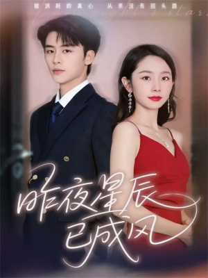 昨夜星辰已成风（75集）高清画质免费看