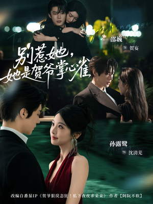 别惹她，她是贺爷掌心雀（69集）让你一口气看完