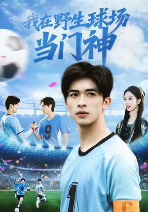 我在野生球场当门神（31集）360网盘观看