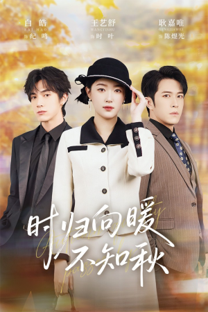 第二十八年冬（51集）更新时间