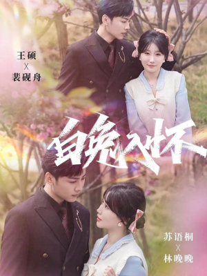 白兔入怀（60集）高清画质免费看