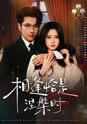 相逢恰是涅槃时（63集）甜宠短剧推荐