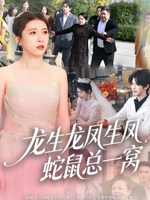 龙生龙凤生凤，蛇鼠总一窝（60集）高清画质免费看