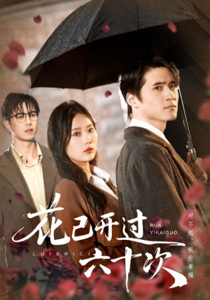花已开过六十次（72集）好短剧分享