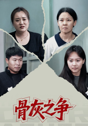 骨灰之争（30集）免费看全集