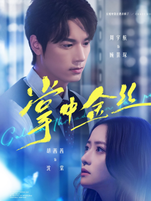 长姐她竟是隐藏大佬（60集）短剧热播推荐