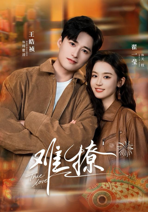 难撩（100集）女主谁演的