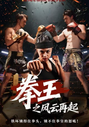 拳王之风云再起（50集）免费在线看
