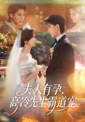 夫人有孕，高冷先生霸道宠（60集）免费看全网短剧