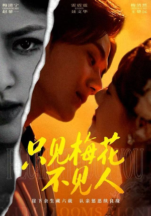 只见梅花不见人（63集）一个短剧看全集