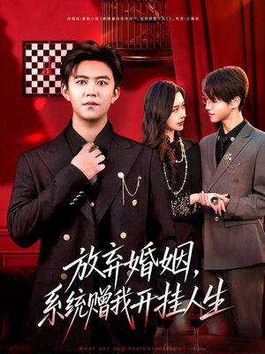 放弃婚姻，系统赠我开挂人生（60集）在线免费观看