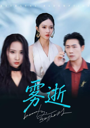 雾逝（30集）短剧演员排行榜