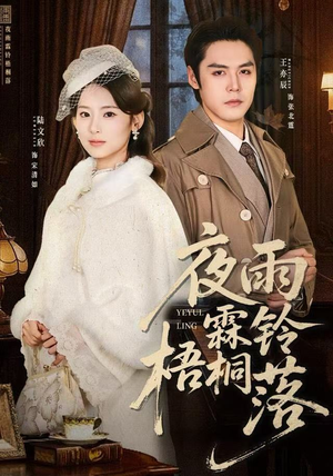 夜雨霖铃梧桐落（51集）真的太精彩了