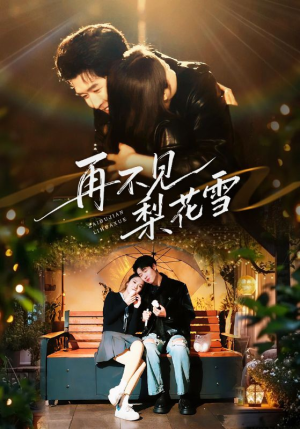 再不见梨花雪（70集）在线看完整版