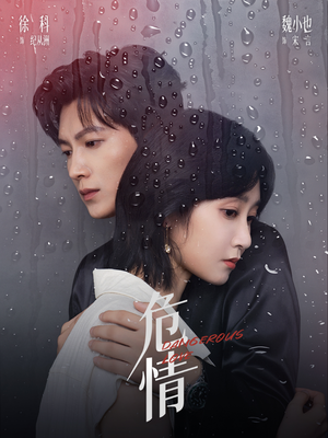 危情（65集）百度网盘资源