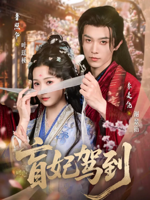 盲妃驾到（65集）短剧在哪里看