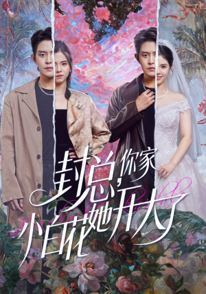 大佬你的牙粘口红了（60集）精彩短剧下载