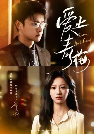 爱止青梅（60集）超好看的短剧