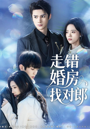 走错婚房找对郎（50集）精彩短剧追不停