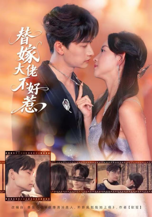 替嫁大佬不好惹(83集) 替嫁大佬不好惹(83集)海量资源免费看