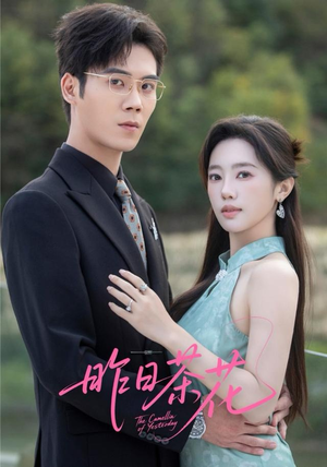 昨日茶花（56集）全集都在这里了