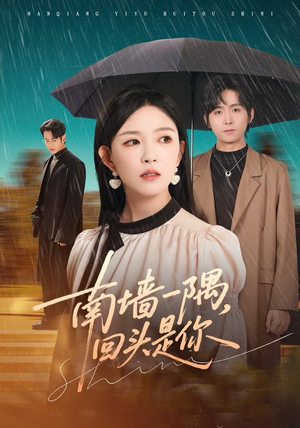 南墙一隅，回头是你（61集）短剧推荐上热门