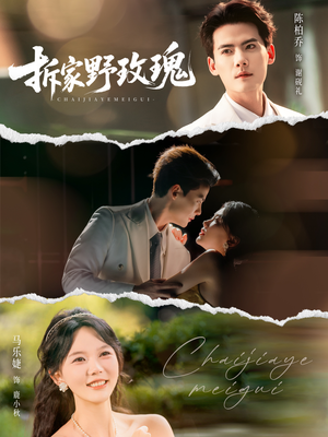 拆家野玫瑰(80集) 拆家野玫瑰(80集)在线观看完整版