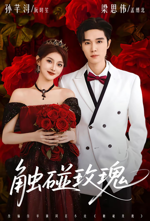 触碰玫瑰(80集) 触碰玫瑰(80集)全集一次看完