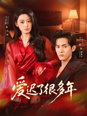 爱迟了很多年（73集）免费看全集