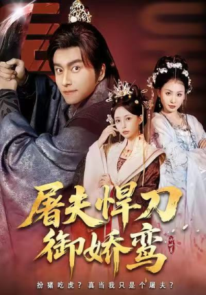 屠夫悍刀御娇鸾（81集）全集一次看完