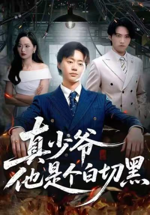真少爷他是个白切黑(75集) 真少爷他是个白切黑(75集)夸克网盘观看